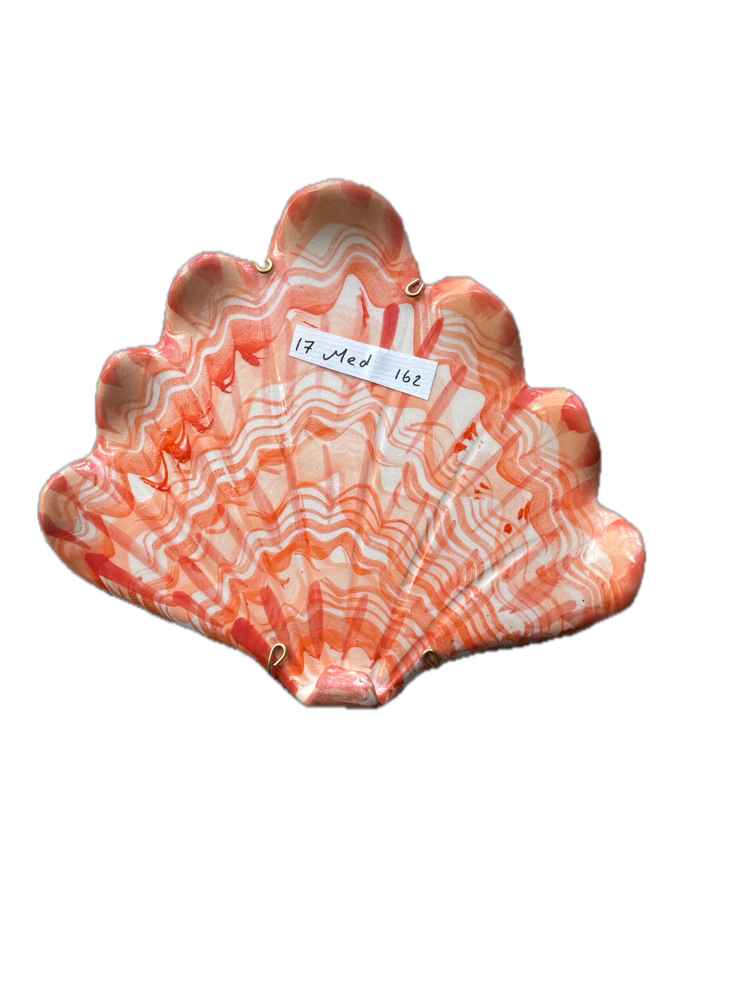 Shells - Coral MED