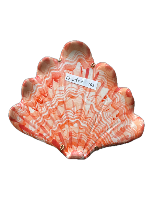 Shells - Coral MED