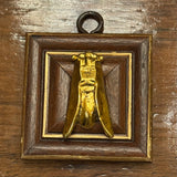 Wooden Frame with Cicada