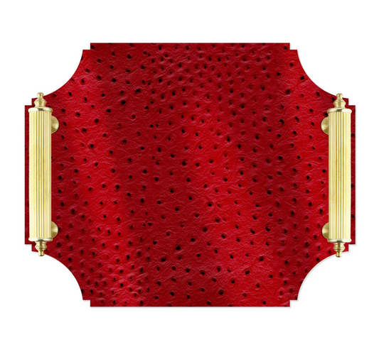 Acrylic Tray with Brass Handles | Red Ostrich