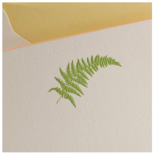 The Printery Boxed Notecards | Fern