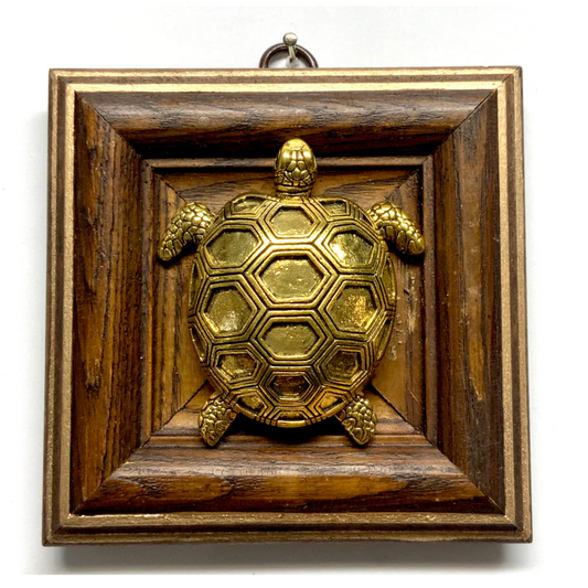 Wooden Frame with Turtle