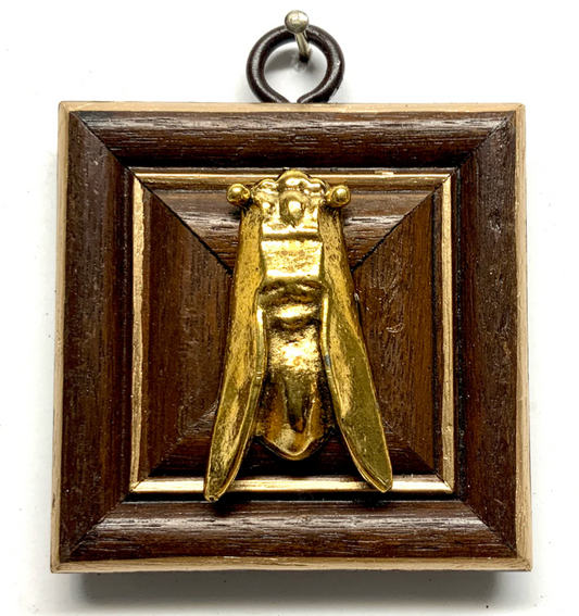 Wooden Frame with Cicada