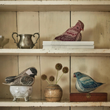 Pocket Birds | Cardinal of Hope