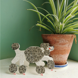 Card | The Poodle