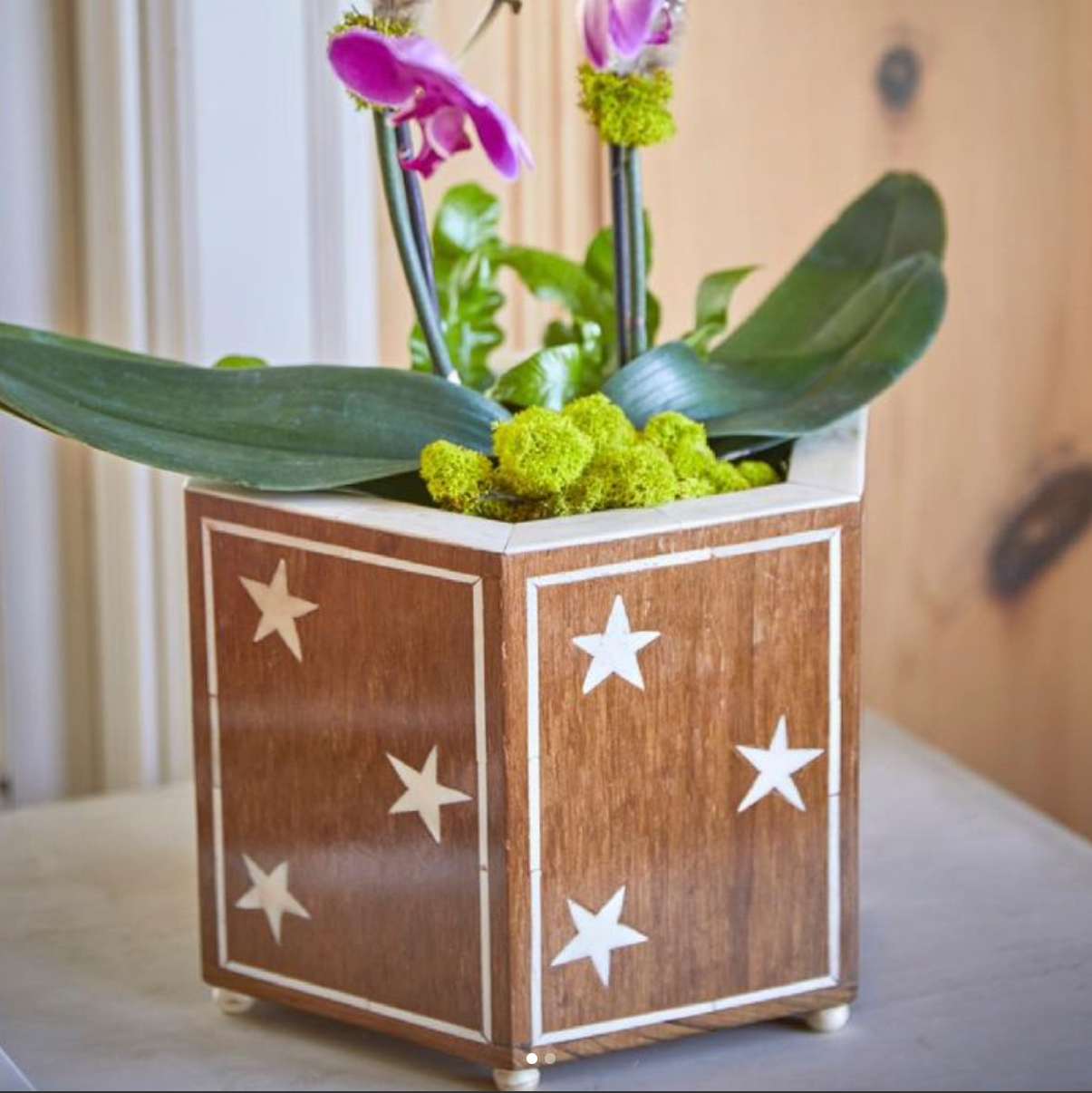 Hexagon Star Cachepot