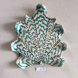 Shells - Teal  LARGE