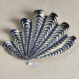Shells - Blue MAXI