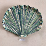 Shells - Greens MAXI