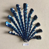 Shells - Blues MED