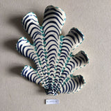 Shells - Blues MED
