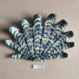 Shells - Blue/Green MED