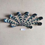 Shells - Blue/Green MED