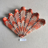 Shells - Orange MED