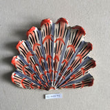 Shells - Orange/Blue MED
