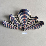 Shells - Blue MED