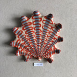 Shells - Blue/Red MED