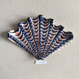 Shells - Blue/Coral MED