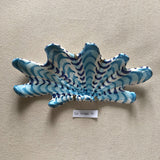 Shells - Turquoise SMALL