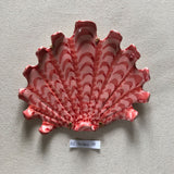 Shells - Pink/Coral SMALL