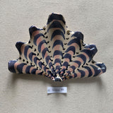 Shells - Multi SMALL