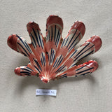 Shells - Coral SMALL