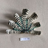 Shells - Green/Black SMALL