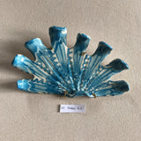 Shells - Turquoise SMALL