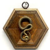 Wooden Frame with Snake
