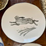 Large Grey Hare Left Facing