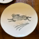 Large Grey Hare Left Facing