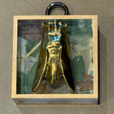 Acrylic Frame with Cicada