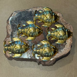 Petrified Wood Piece with Fish