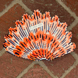 Shells - Corals/Blues MED