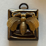 Wooden Frame with Moth