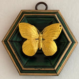 Painted Frame with Butterfly