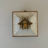 Mother of Pearl Frame with Grande Bee