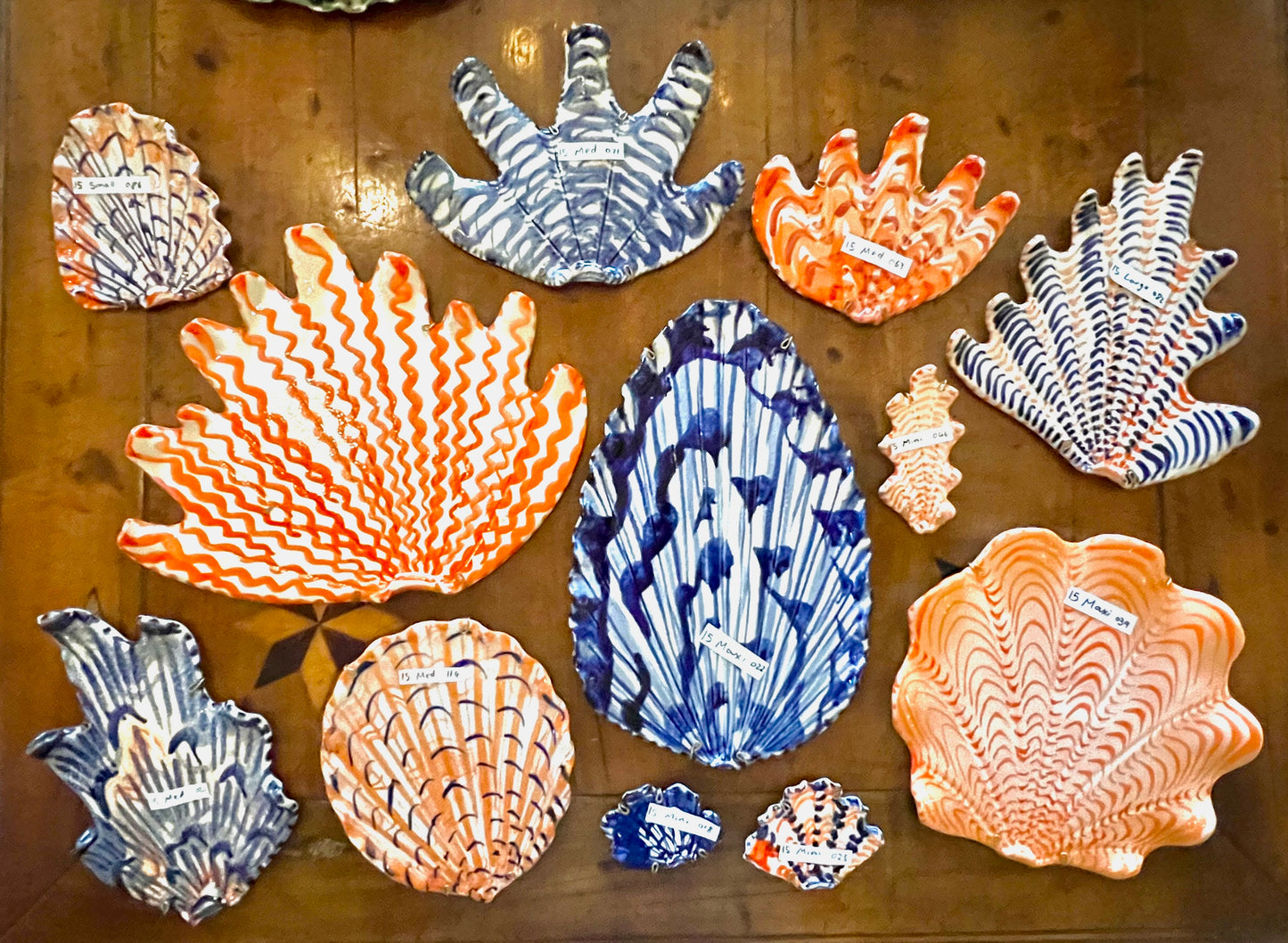 Shells - Collection of 12 Blue and Orange