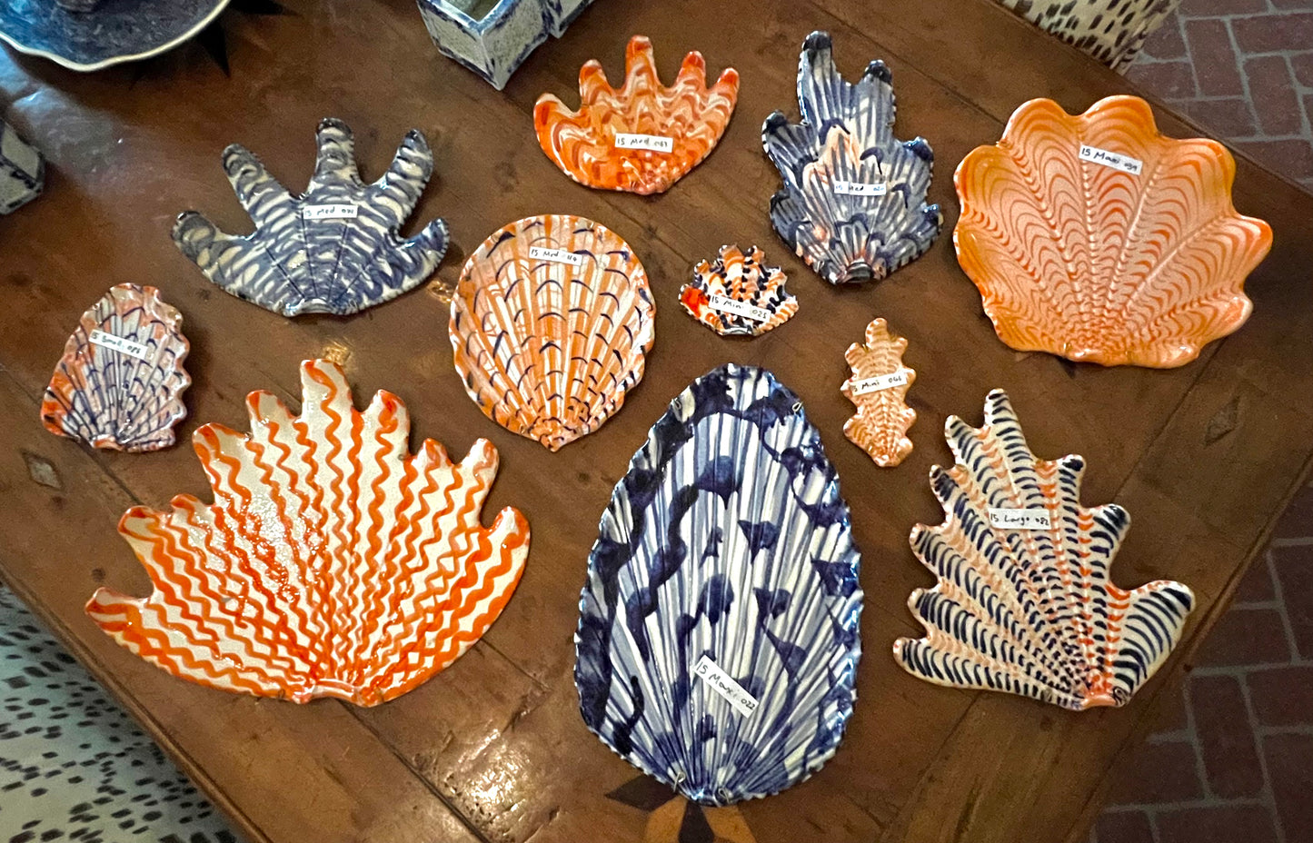 Shells - Collection of 12 Blue and Orange