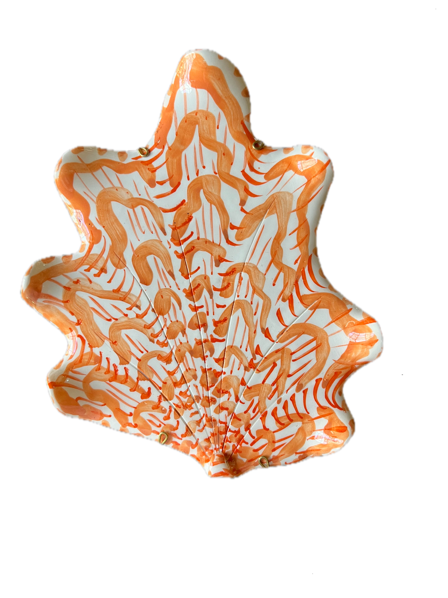 Shells - Medium Orange