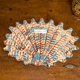 Shells - Rust/Blue MAXI