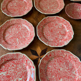 Red/Grey Aptware Salad Plates | Set of 10