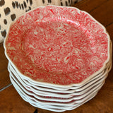 Red/Grey Aptware Salad Plates | Set of 10