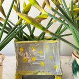 Ceramic Flower Brick | Louise Kaye