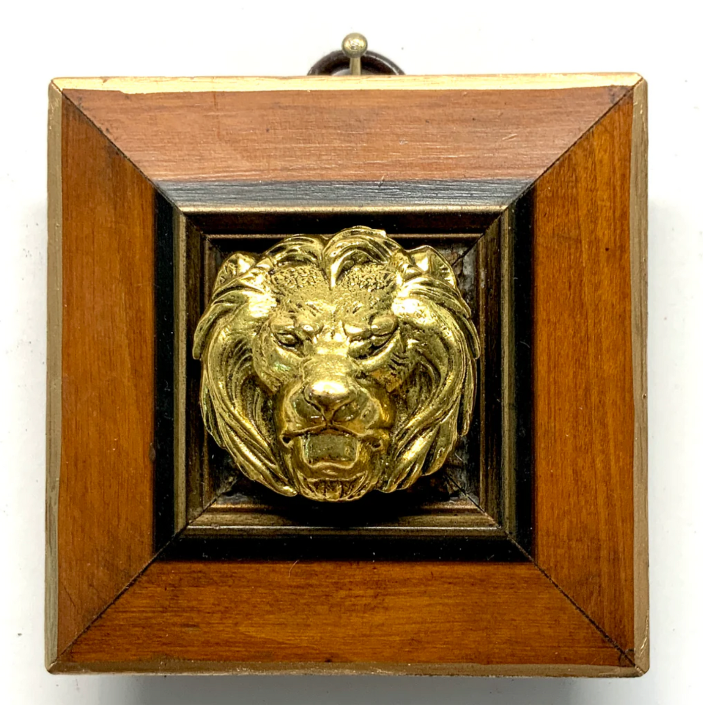 Wooden Frame with Lion