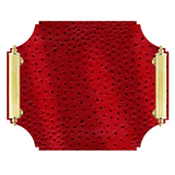 Acrylic Tray with Brass Handles | Red Ostrich
