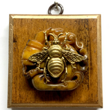 Wooden Frame with Grande Bee on Jade