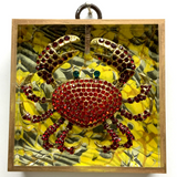 Acrylic Frame with Crab on Marbled Paper / Slight Imperfections
