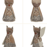 Pocket Birds | Owlet of Curiosity