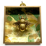Acrylic Frame with Grande Bee on Mulberry Paper / Slight Imperfections